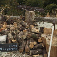 薪割り体験無料