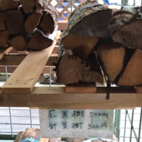 広葉樹と針葉樹